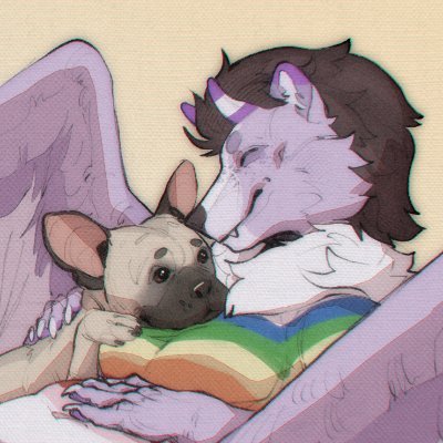 Кефір 🇺🇦さんのプロフィール画像