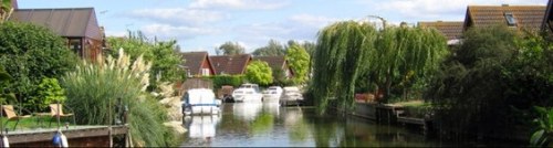 Caveinfo's profile picture. 