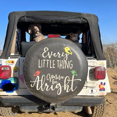 Suz25or6to4's profile picture. Proudly blocked by professional news reader @kyleclark. 🤣Love Jesus, my family and my dogs. 🐕 Colorado Jeep Girl 🏔️