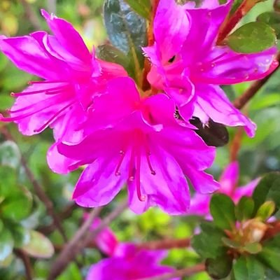 Mariann72289618's profile picture. 