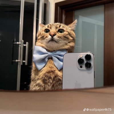 Morgan_d2nd's profile picture. 