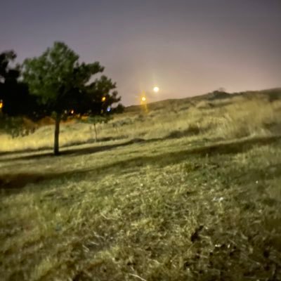 ali88367704460's profile picture. sevişmek ustalık ister..