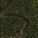 Patrick Warren Davidson - @jojobet8996x - Twitter