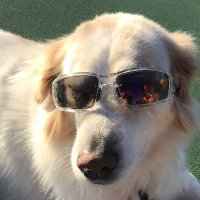 CO Dinker (@co_dinker) 's Twitter Profile