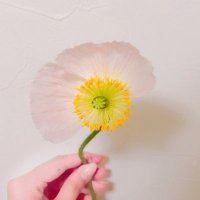 mmm*(むむむ) (@mmm193193) 's Twitter Profile Photo mmm*(むむむ) (@mmm193193) 's Twitter Profile Photo