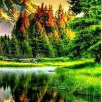 gökhan (@mer1037255) 's Twitter Profile