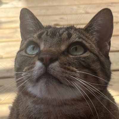 Boonpatrol's profile picture. 