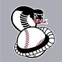Columbus Cobras 17U (Hood) (@16ucobras_hood) 's Twitter Profile Photo