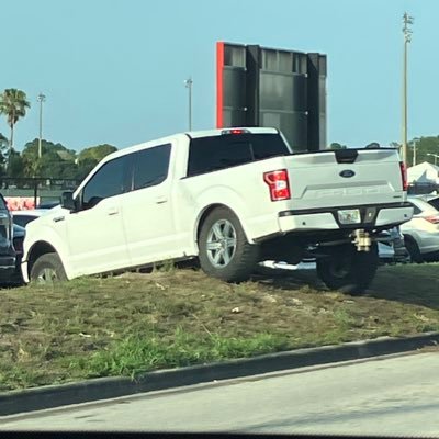 xmkxdgfysm's profile picture. 