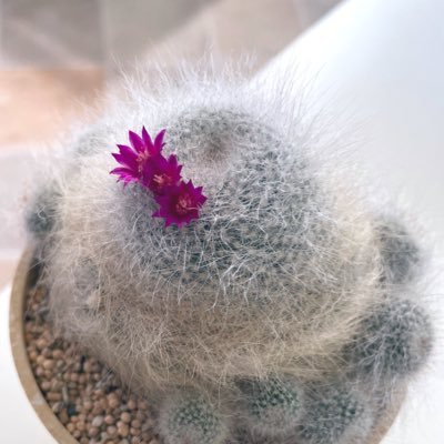 すなさんのプロフィール画像