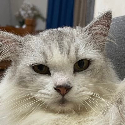 NaiemAkml's profile picture. dreams everything