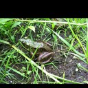 Luke Miller - @lukemiller2222 - Twitter