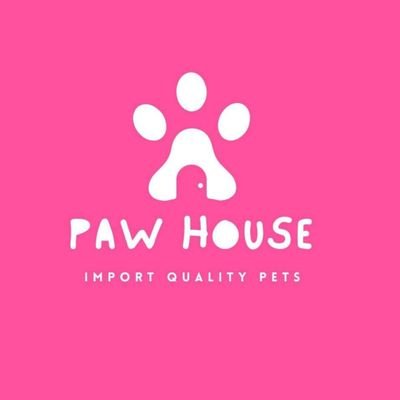 Welcome to Paw House, A Family Of Proud Pet Lovers ❤ Let's Treat Your Home With New loving Member! 🐾
#ImportedPets