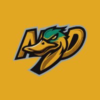 No Ducking 🦆 (@xnoducking) 's Twitter Profile