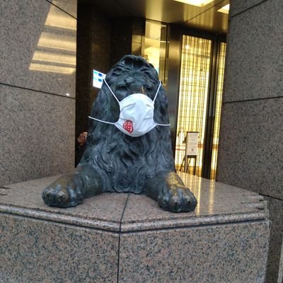 mashimo711's profile picture. 