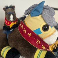 gupi (@pipi41777296) 's Twitter Profile