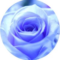 あ〜る♡R🐩 (@bluer2006) 's Twitter Profile