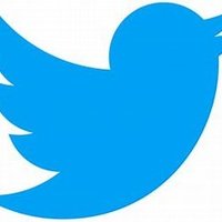 @mp (@mandannamp) 's Twitter Profile