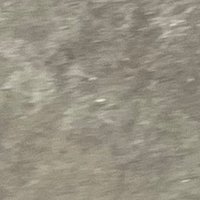 Dean (@calvillodean) 's Twitter Profile