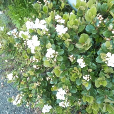 _5hr04's profile picture. 興味・関心 記録用