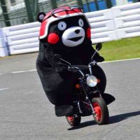くまもん (@kumamon752) 's Twitter Profile