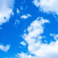 月音山 (@tsukiotoyama) 's Twitter Profile