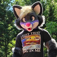 Pokusa 🦊 (@pokusafox) 's Twitter Profile