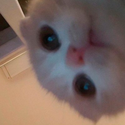 (she/her) 🇵🇪
un gato que juega los sims 4
#PeruSimmer
