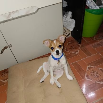 xana_suwrrn's profile picture. 