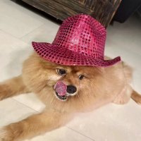 Alti (@altizxd) 's Twitter Profile Photo Alti (@altizxd) 's Twitter Profile Photo