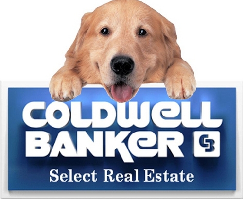 Hi, we're Coldwell Banker Select Real Estate in Dayton, Nevada!