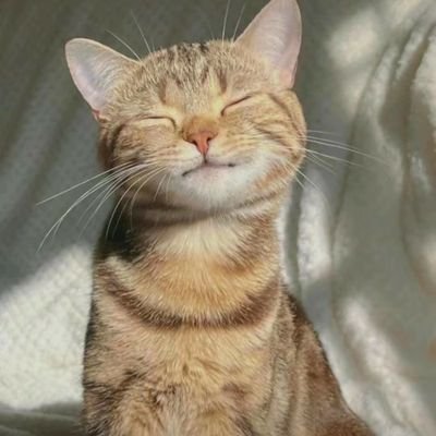 HavLiu's profile picture. Fortunately, longing is silent, otherwise it would be deafening.