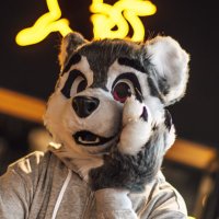 Itai_dog (@itai_dog) 's Twitter Profile