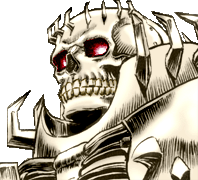 I am called The Skull Knight. I fight the Godhand, and aid those who Struggle against Fate.