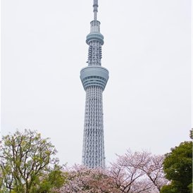 副業の成功法を発信中。副業を始めたい人に役立つ情報をお届け。少しですがプレゼント企画もしています! 支援中▷ https://t.co/IHheH4c6zc