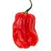 Caribbean Food TV (@caribbeanfoodtv) Twitter profile photo Caribbean Food TV (@caribbeanfoodtv) Twitter profile photo