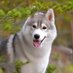 Photographer (@photo5065) Twitter profile photo Photographer (@photo5065) Twitter profile photo