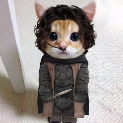 BoTinS3in's profile picture. https://t.co/h7cUnWX7mR