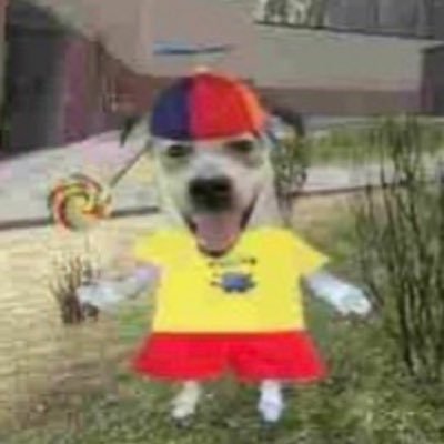 jamsさんのプロフィール画像