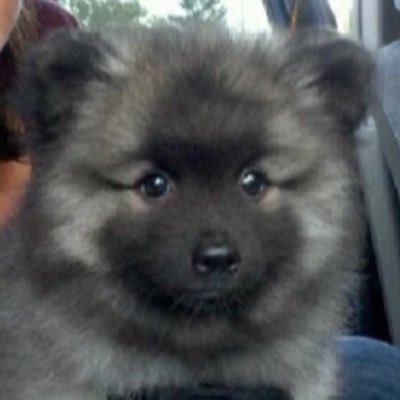 Maggzbee's profile picture. 