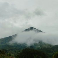 小鱼儿爸(互赞必回 互fo)💯💯💯💯💯💯💯💯💯 (@779651453min) 's Twitter Profile Photo