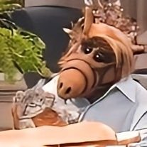 honya_nya_'s profile picture. いつか猫垢になりたい￤今はいいねとなりすまし通報するだけの人￤ﾈｺﾁｬﾝ垢さんフォローさせていただきます/ᐠ. .ᐟ\ Ⳋ♡