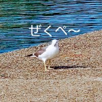 ゼクぺー@気ままな釣り人 (@sanv2) 's Twitter Profile
