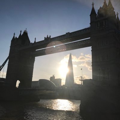Business Development Manager at Thomann-Hanry, the world leading façade cleaning specialists