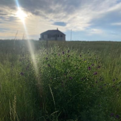 JonnyManders13's profile picture. Life is what you make it, always smile. If I don’t learn something new everyday I’m doing something wrong.