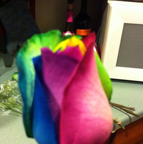 AngelaBrees's profile picture. 