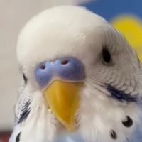 k m (@km47101699) 's Twitter Profile