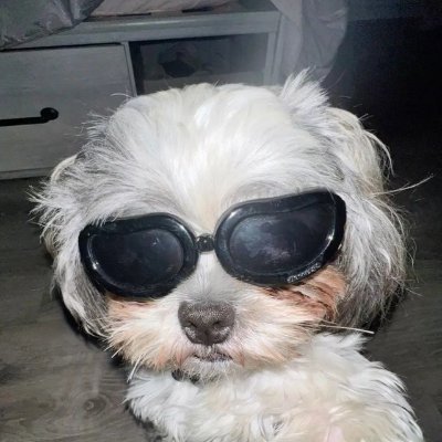 eth001_rib's profile picture. $Crypto #web3 $Sol $ETH $Base 
i need kols