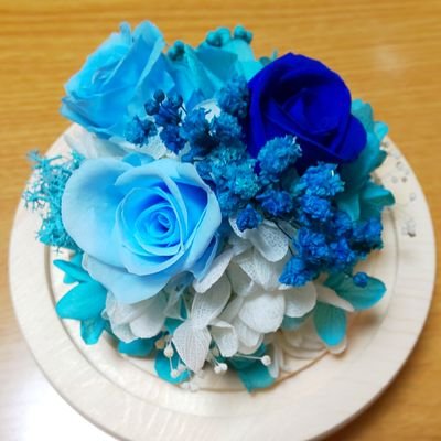 片の劣等生さんのプロフィール画像