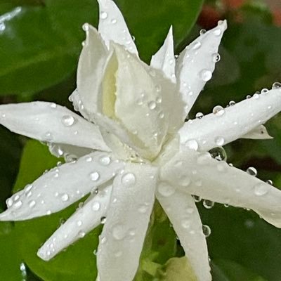 Consciously try to think different, against military expenditure, single humanity concept, boundary less world, knowledge sharing believer and writer